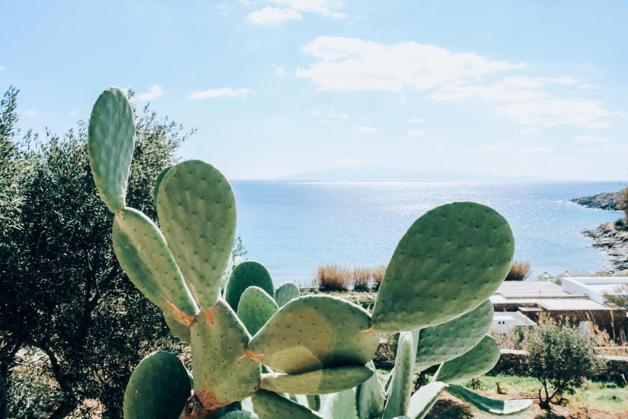 Casa de férias The Elaia House Mykonos *